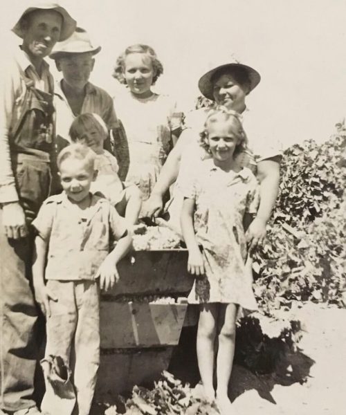 Fred & Wilma Simpson Grape Picking in CA 1942